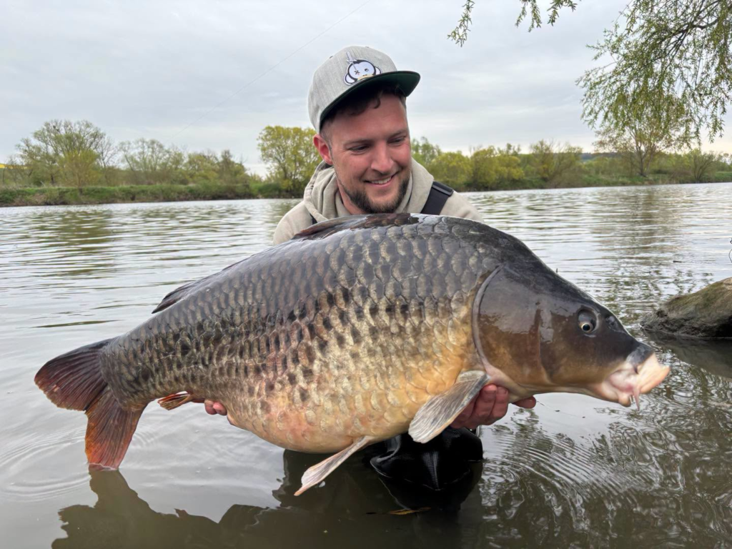 L’AIL FISH A ENCORE FRAPPÉ !...